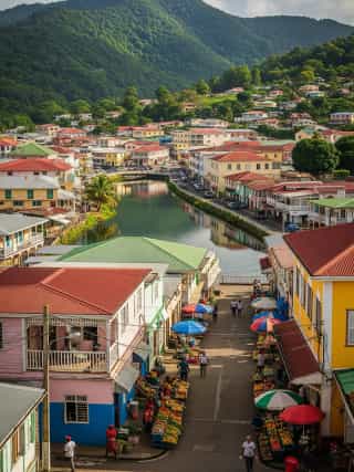 Image of roseau